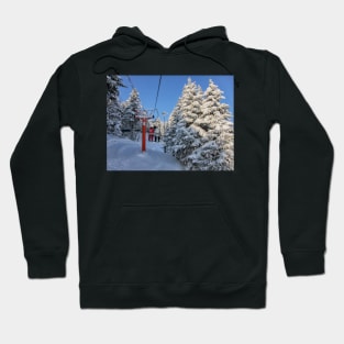 Going Up! Hoodie